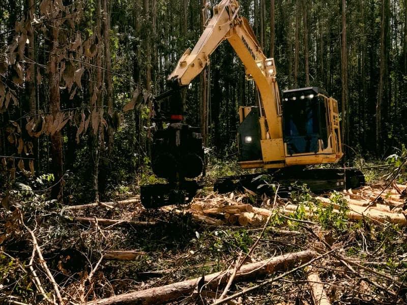 Land clearing project in Charlotte